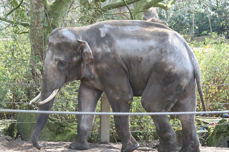 Fotoclubje Blijdorp 2008-157.jpg